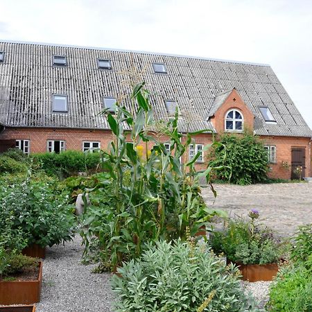 Lundsgaard Bed & Breakfast Фоборг Экстерьер фото